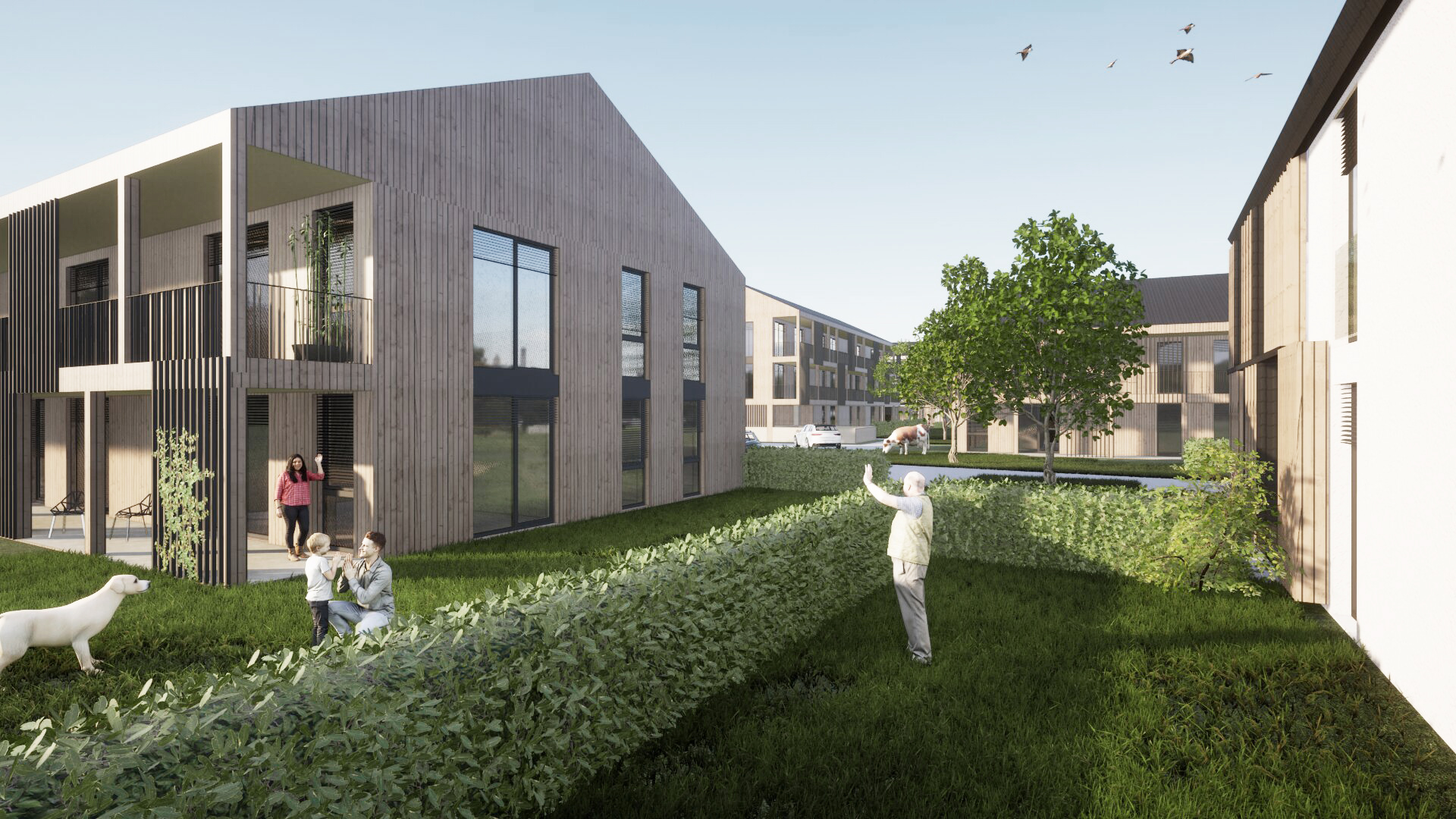 Private Gärten in der Siedlung